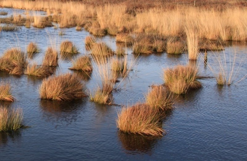 Groot en klein meer Vessem